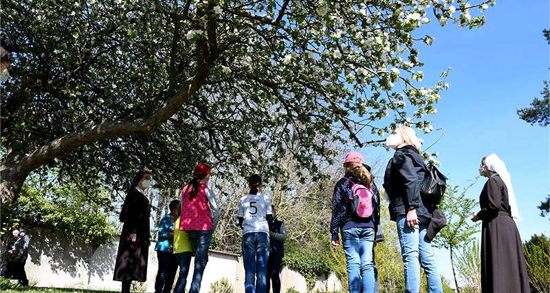 Wie hier im Mutterhausgarten in Salzkotten haben in den Ferien Kinder an drei Terminen die Möglichkeit, an spannenden Ferienaktionen des Geistlichen Zentrums Franziskus teilzunehmen. Foto: privat